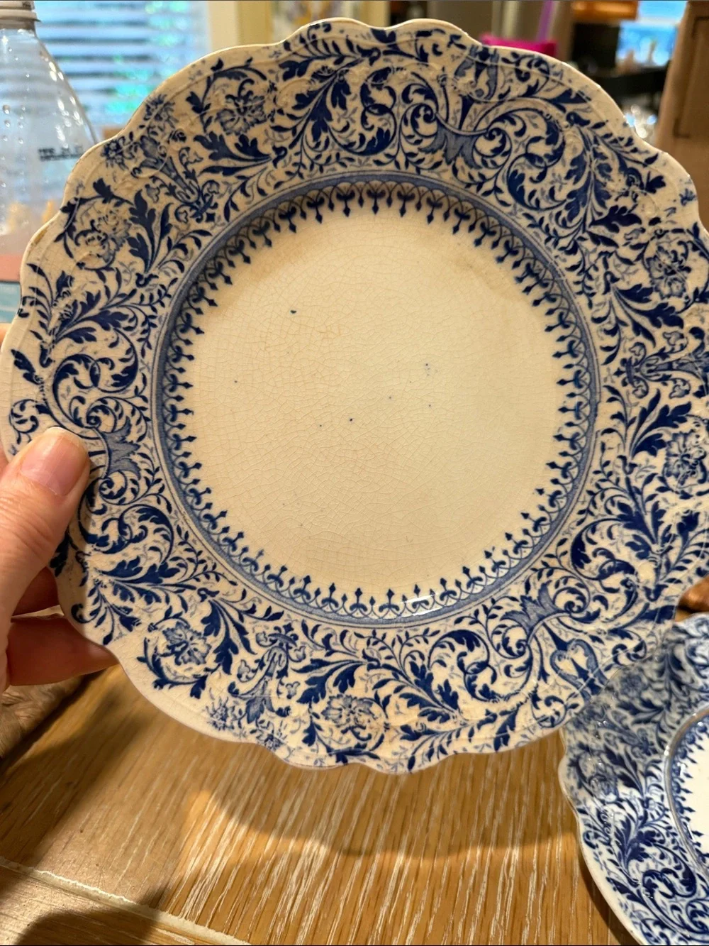 Burmese Semi Porcelain classic scalloped